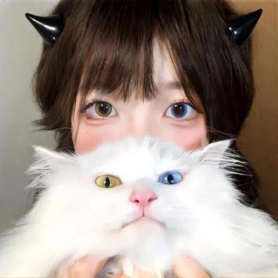 希皮
